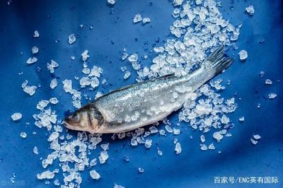 厄虾与大连病例背后的迷雾 进口海鲜真的能携带新冠病毒吗？